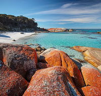 Homelea Accommodation - Accommodation BNB