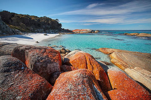 Georges Bay Apartments - Accommodation BNB 0