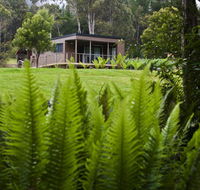 Tyenna River Cottage - Accommodation BNB