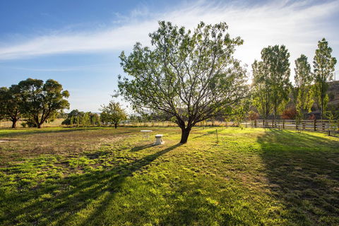 Prospect Country House & Restaurant - Accommodation BNB 31