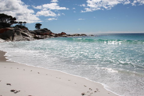 SEA EAGLE COTTAGE Amazing Views Of Bay Of Fires - Accommodation BNB 14