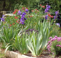 Karoola Cottage Self Contained - Accommodation BNB