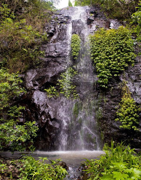 Nimbin Waterfall Retreat - Accommodation BNB 3