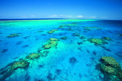 NRMA Cairns Holiday Park - Accommodation BNB 1