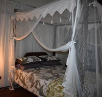 Oskar's Rain Forest Retreat - Accommodation BNB