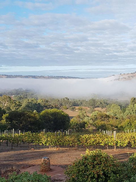 Pecan Hill BNB - Accommodation BNB 3