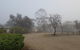 Pecan Hill BNB - thumb 1