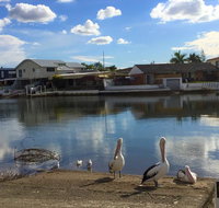 Pelican Cove Apartments - Accommodation BNB