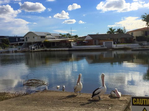 Pelican Cove Apartments - Accommodation BNB 0