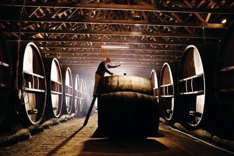 Pieter Van Gent Winery & Vineyard - Accommodation BNB 0