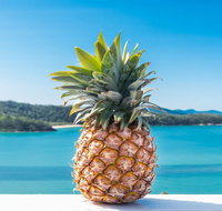 Pineapple House Whitsundays - Accommodation BNB