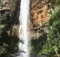 Purling Brook Falls Gwongorella - Accommodation BNB