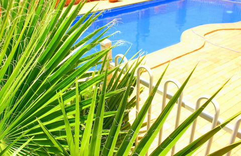 Roma Mid Town Motor Inn - Accommodation BNB 2