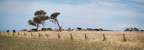 SALT - 37 Oceanview Drive - Accommodation BNB 2