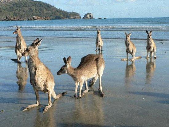 Ball Bay QLD Accommodation BNB
