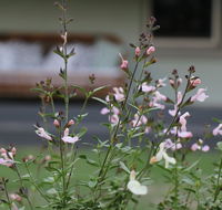 Serendipity on Allyn - Accommodation BNB