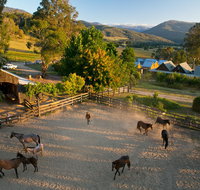 Spring Spur - Accommodation BNB