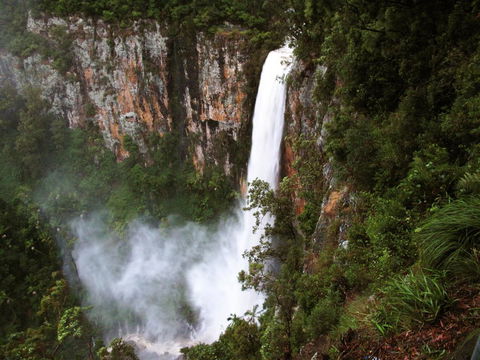 Springbrook Lyrebird Retreat - Accommodation BNB 2