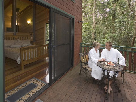 Springbrook Lyrebird Retreat - Accommodation BNB 3