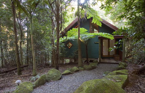 Springbrook Lyrebird Retreat - Accommodation BNB 1