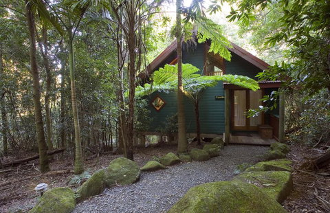 Springbrook Lyrebird Retreat - Accommodation BNB 1