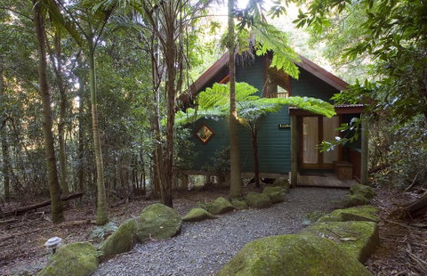 Springbrook Lyrebird Retreat - Accommodation BNB 1
