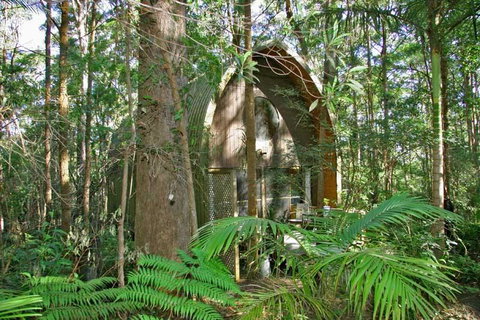 Springbrook Mountain Chalets - Accommodation BNB 0