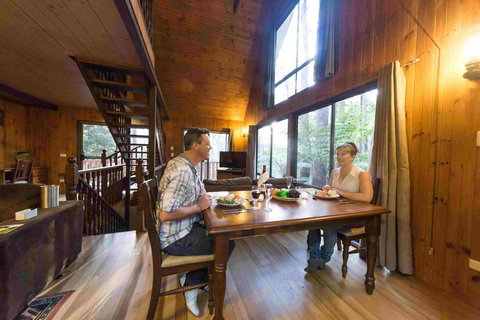 Springbrook Mountain Chalets - Accommodation BNB 2