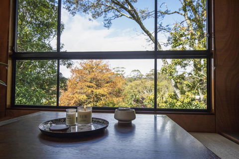 Springbrook25 Upper Apartment - Accommodation BNB 0