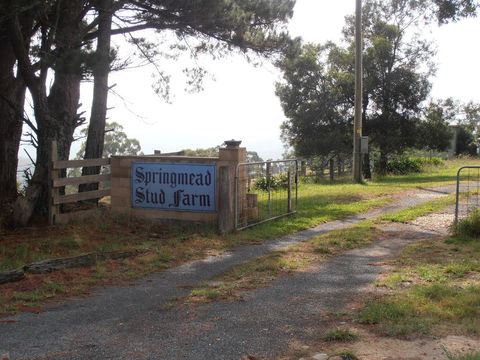 Springmead B&B - Accommodation BNB 2