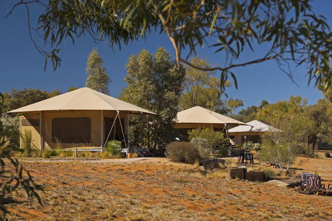 Squeakywindmill Boutique Tent B&B - Accommodation BNB 0
