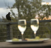Stockton Rise Country Retreats - Accommodation BNB