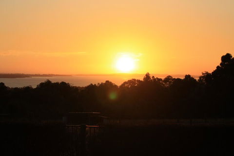 Studio 165 Hidden Gem On 50 Acres With Bay Views - Accommodation BNB 1