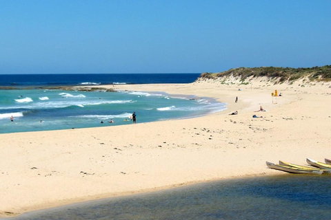 Tea Tree - Accommodation BNB 2