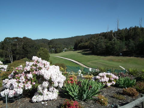 Harlea - Accommodation BNB 16