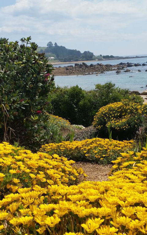 Penguin Beach House - Accommodation BNB 18