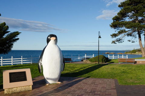 Penguin Beach House - Accommodation BNB 16