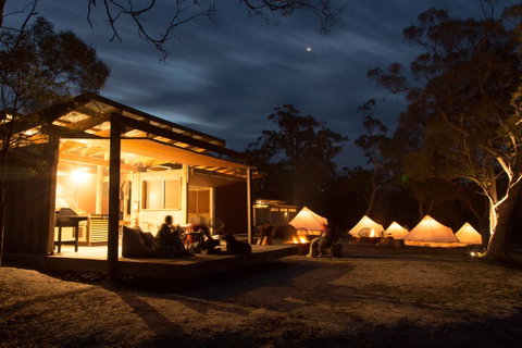 Bay Of Fires Bush Retreat - Accommodation BNB 0