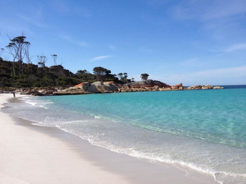 THE LOFT @ Bay Of Fires Seascape - Accommodation BNB 2