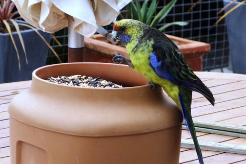 THE LOFT @ Bay Of Fires Seascape - Accommodation BNB 22