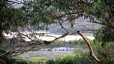 KINGFISHER COTTAGE Beachfront At The Binalong Bay - Accommodation BNB 17