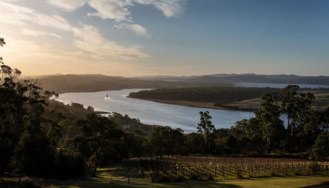 Domescapes In The Vines - Accommodation BNB 10