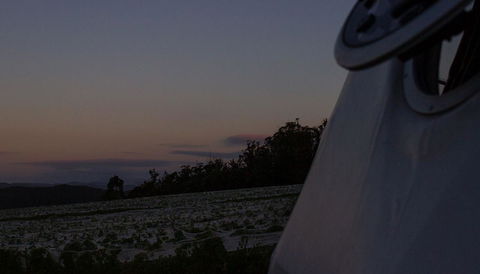 Domescapes In The Vines - Accommodation BNB 4