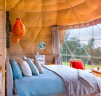 Domescapes in the Vines - Accommodation BNB
