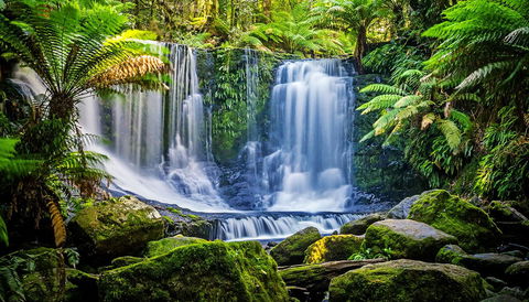 Domescapes In The Vines - Accommodation BNB 13