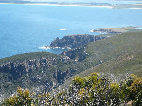 Cloudy Bay Beach House - Accommodation BNB 26