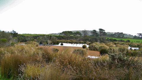 Cloudy Bay Beach House - Accommodation BNB 19