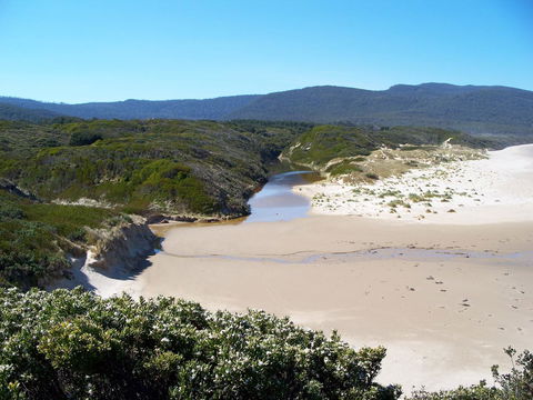 Cloudy Bay Beach House - Accommodation BNB 13