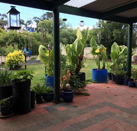 Blue Wren Bungalow - Accommodation BNB