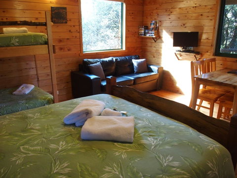 Cradle Highlander - Accommodation BNB 34